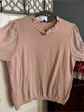 Adrianna Papell Pale Pink Ruffle Neck Dot Mesh Sleeve Women’s Top